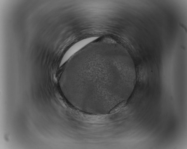 X0000099470044200805231841