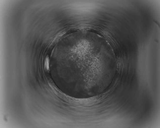 X0000099470046200805231841