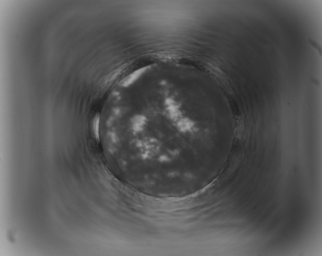 X0000099470047200805231841