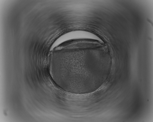 X0000099470048200805231841