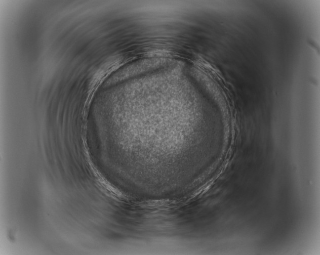 X0000099470049200805231840