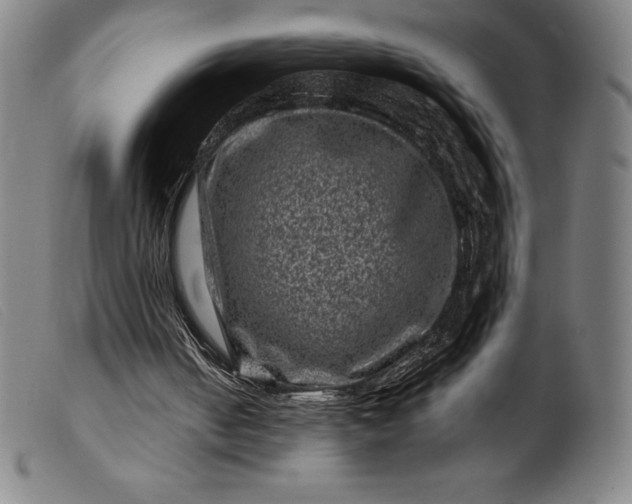 X0000099470050200805231840