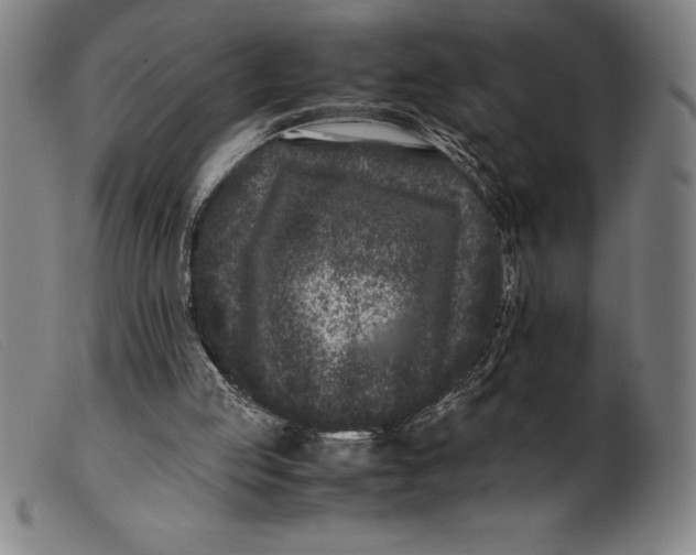 X0000099470053200805231840