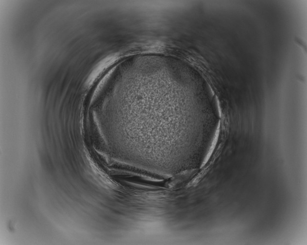 X0000099470054200805231840