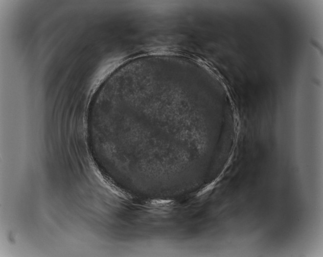 X0000099470055200805231840