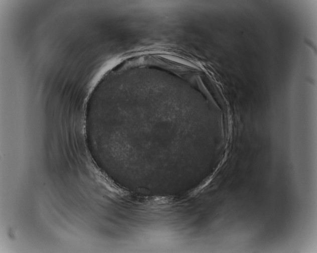 X0000099470056200805231840