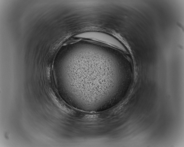 X0000099470057200805231840