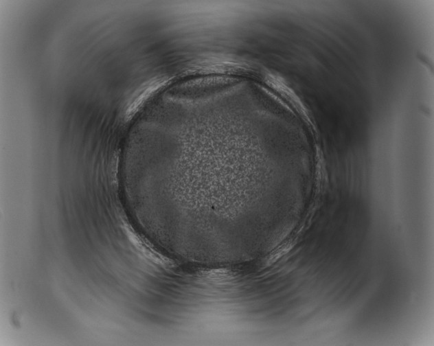 X0000099470058200805231840