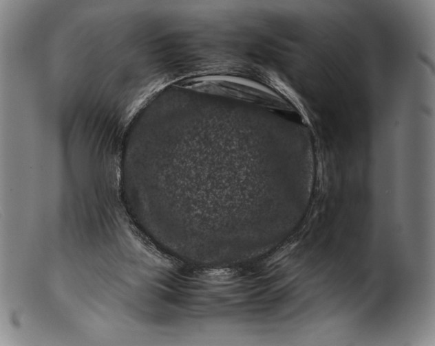 X0000099470059200805231840