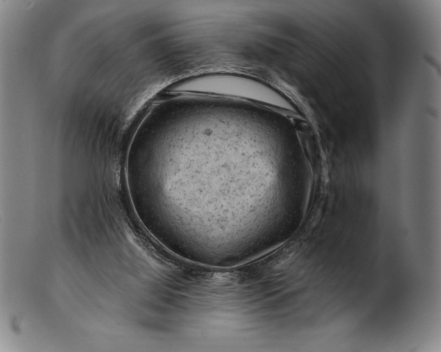 X0000099470060200805231840