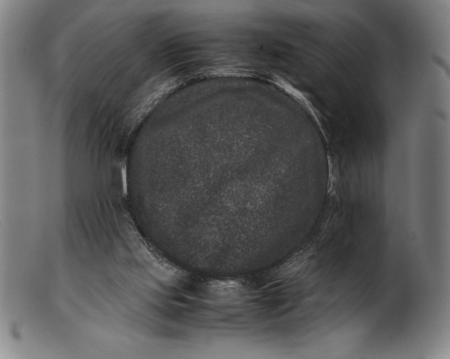 X0000099470061200805231840