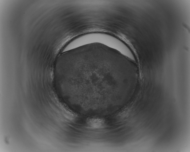 X0000099470063200805231840