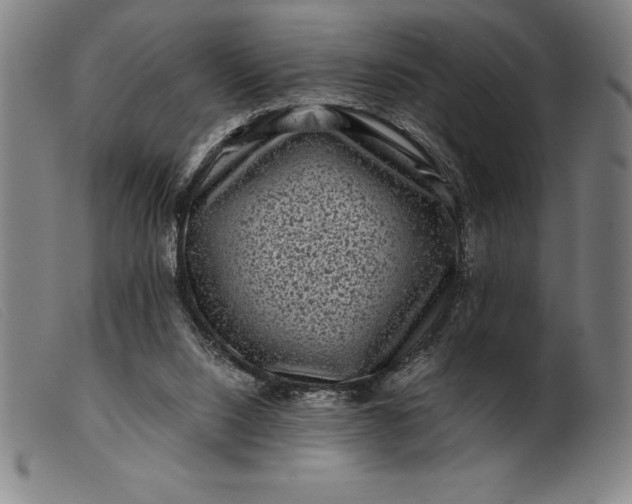 X0000099470064200805231840