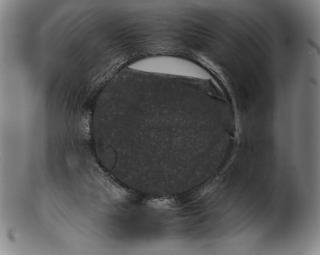 X0000099470065200805231840