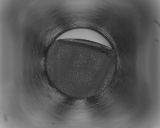 X0000099470066200805231840