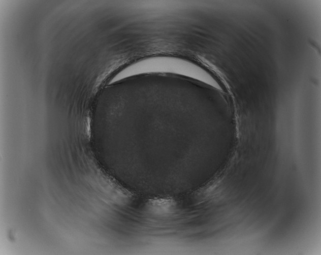 X0000099470067200805231840