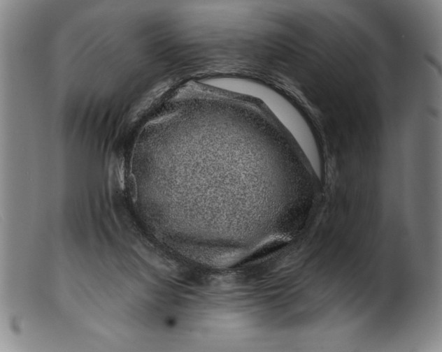 X0000099470068200805231840