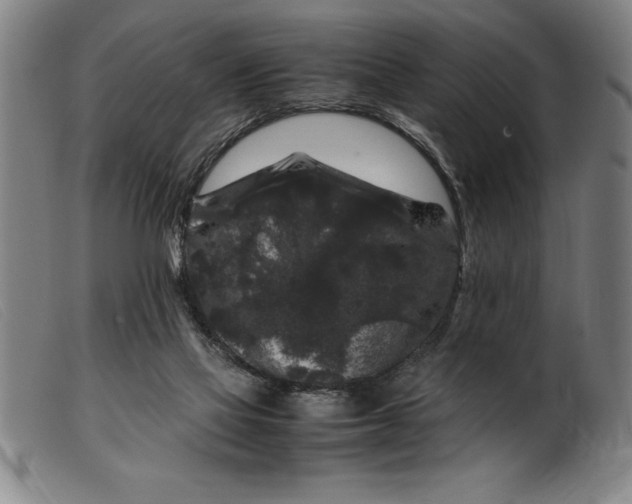 X0000099470069200805231840