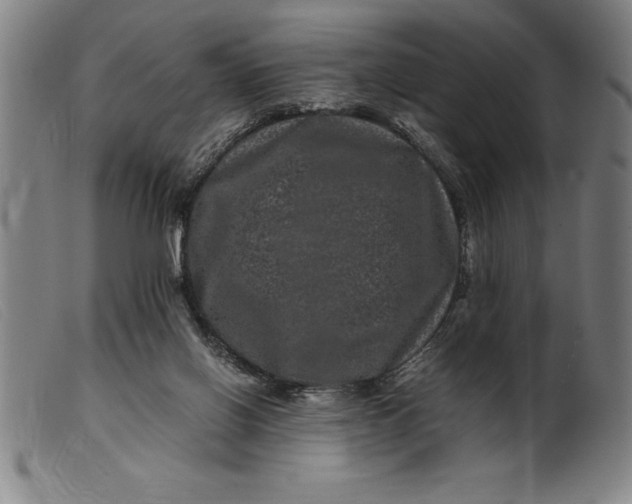 X0000099470070200805231840