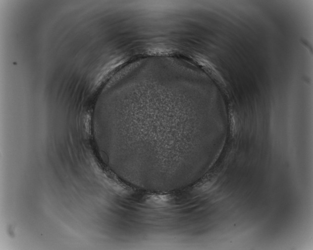 X0000099470071200805231840