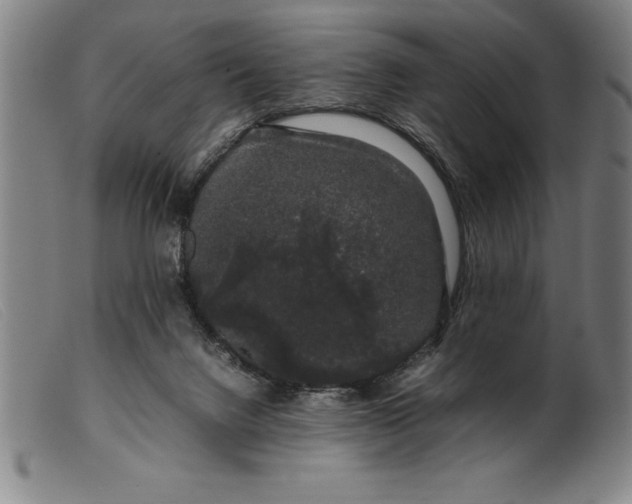 X0000099470072200805231840