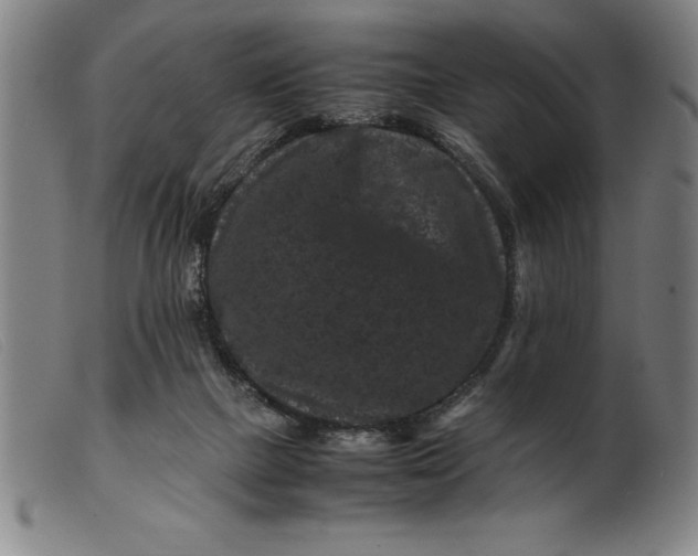 X0000099470073200805231840