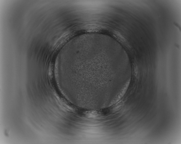 X0000099470074200805231840