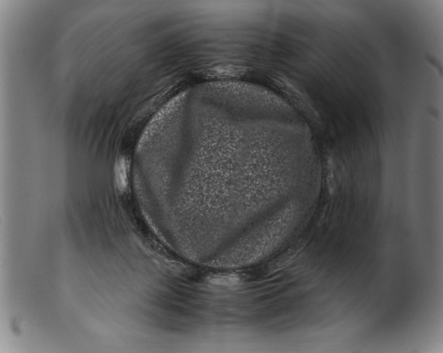 X0000099470075200805231841