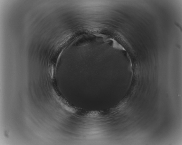 X0000099470076200805231841