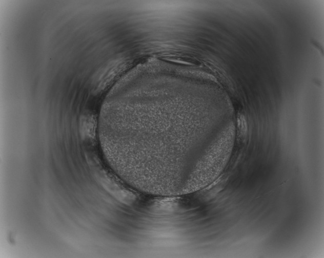 X0000099470078200805231841