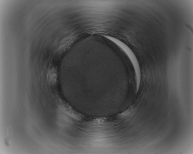 X0000099470080200805231841