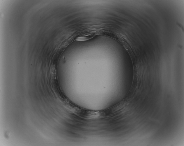 X0000099470083200805231841