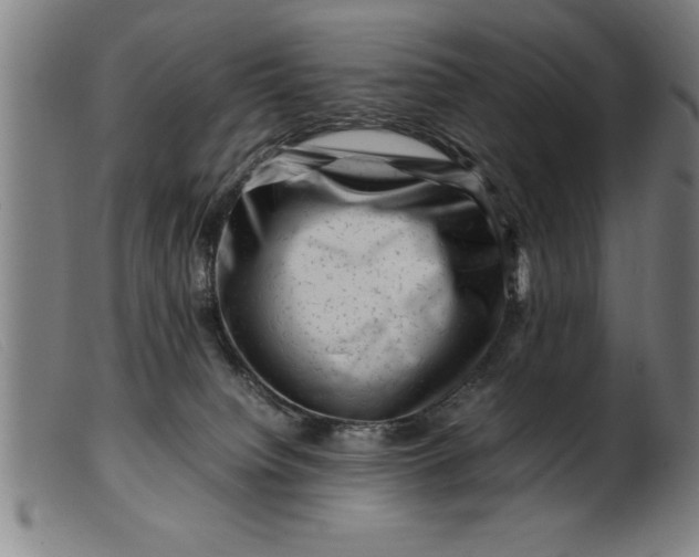 X0000099470084200805231841