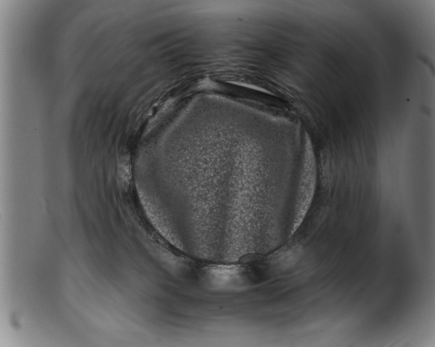 X0000099470085200805231841