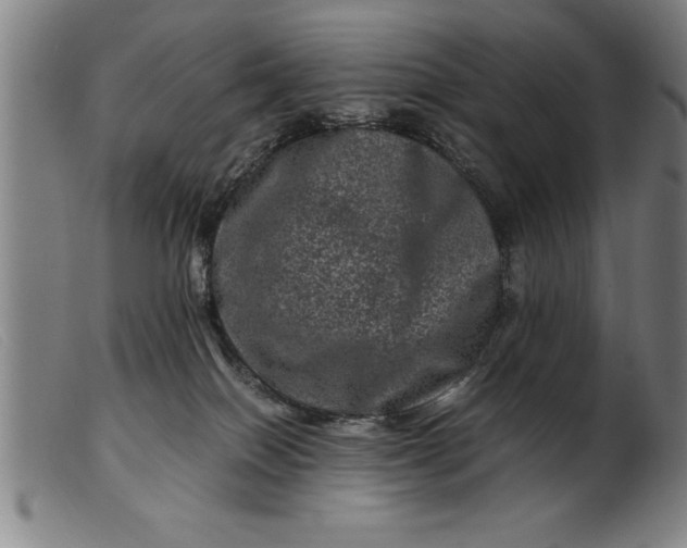 X0000099470086200805231841