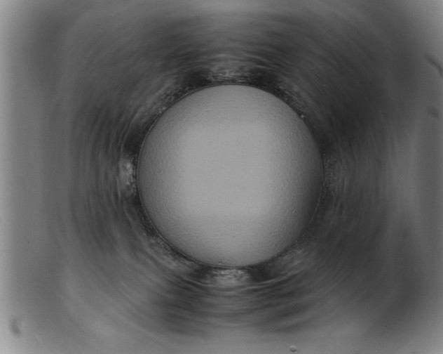 X0000099470087200805231841