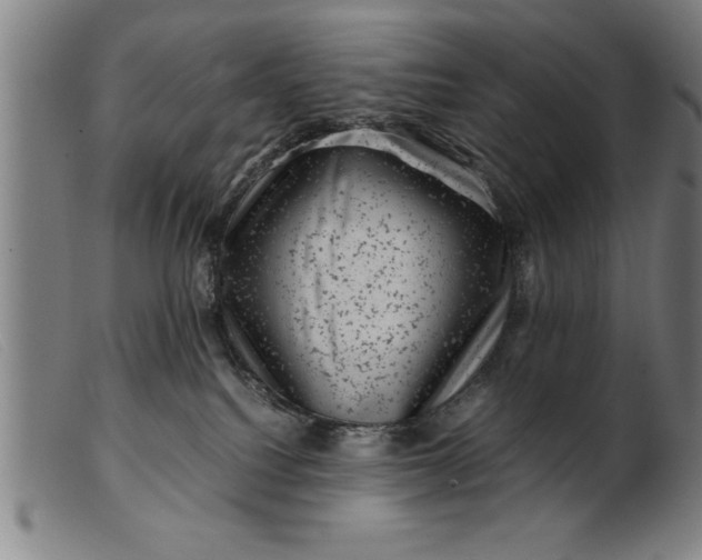 X0000099470088200805231841