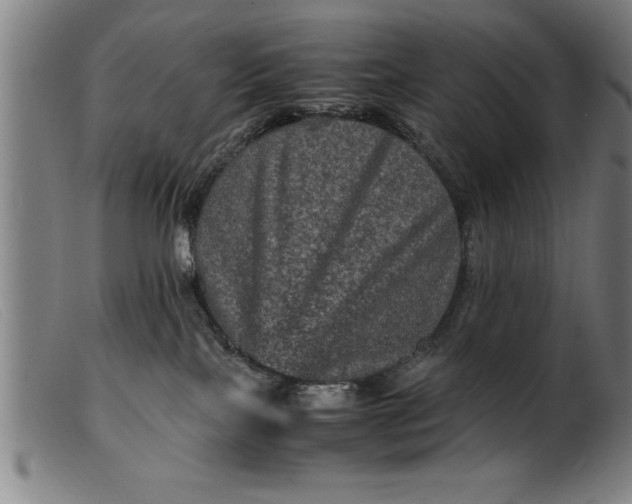 X0000099470089200805231841