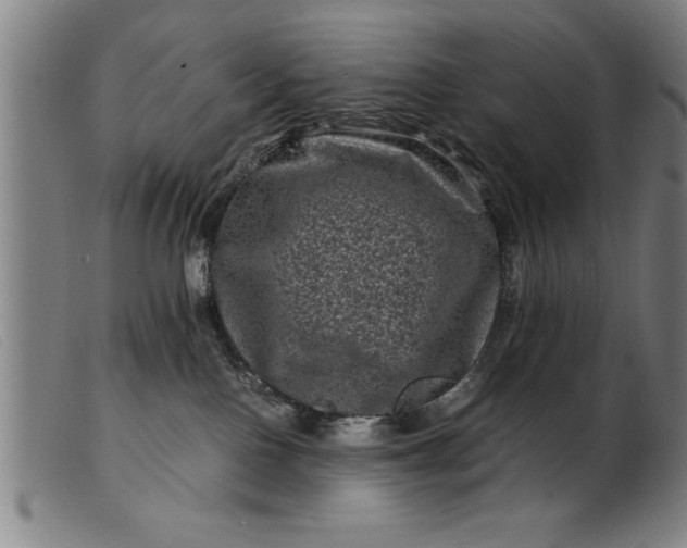 X0000099470090200805231841