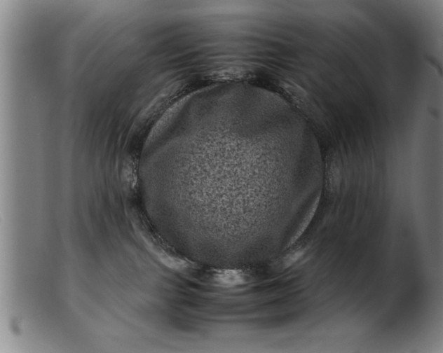 X0000099470091200805231841