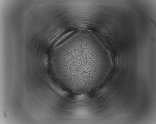 X0000099470092200805231841