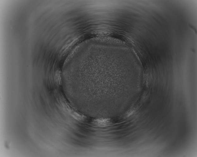 X0000099470093200805231841