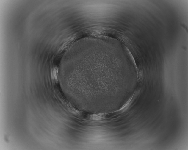 X0000099470094200805231841