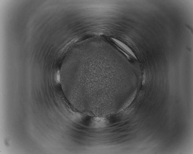 X0000099470095200805231841