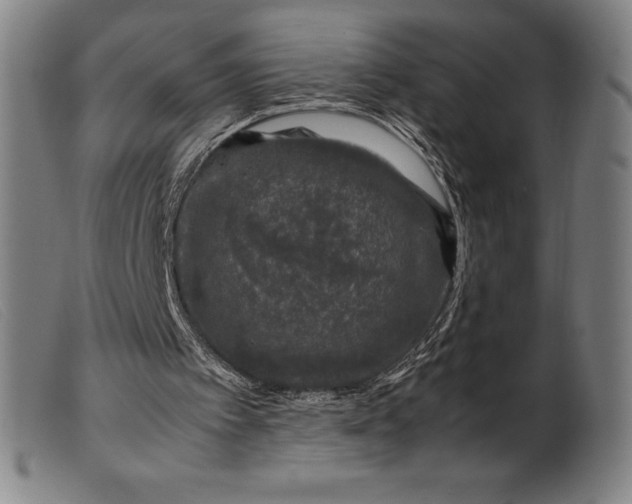 X0000099470097200805231840