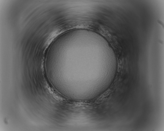 X0000099470098200805231840