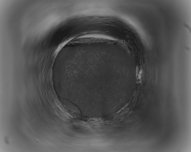 X0000099470099200805231840