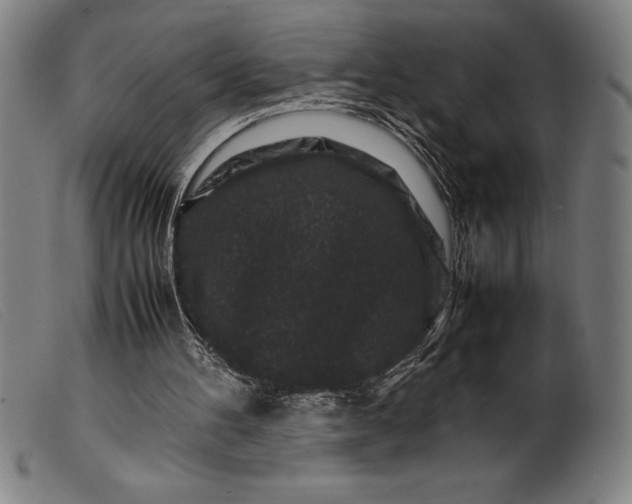 X0000099470100200805231840