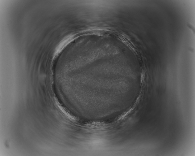 X0000099470101200805231840