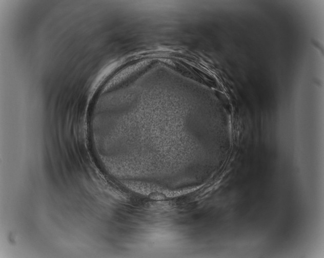 X0000099470102200805231840